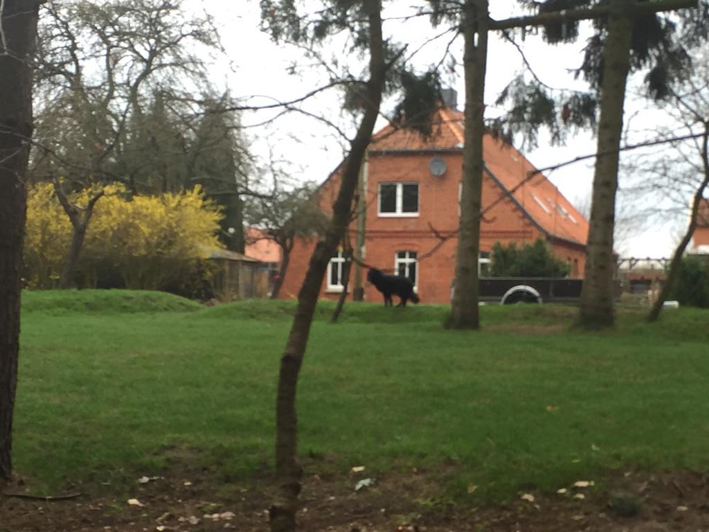 Ferienwohnung Garten Eben Rullstorf Exterior photo